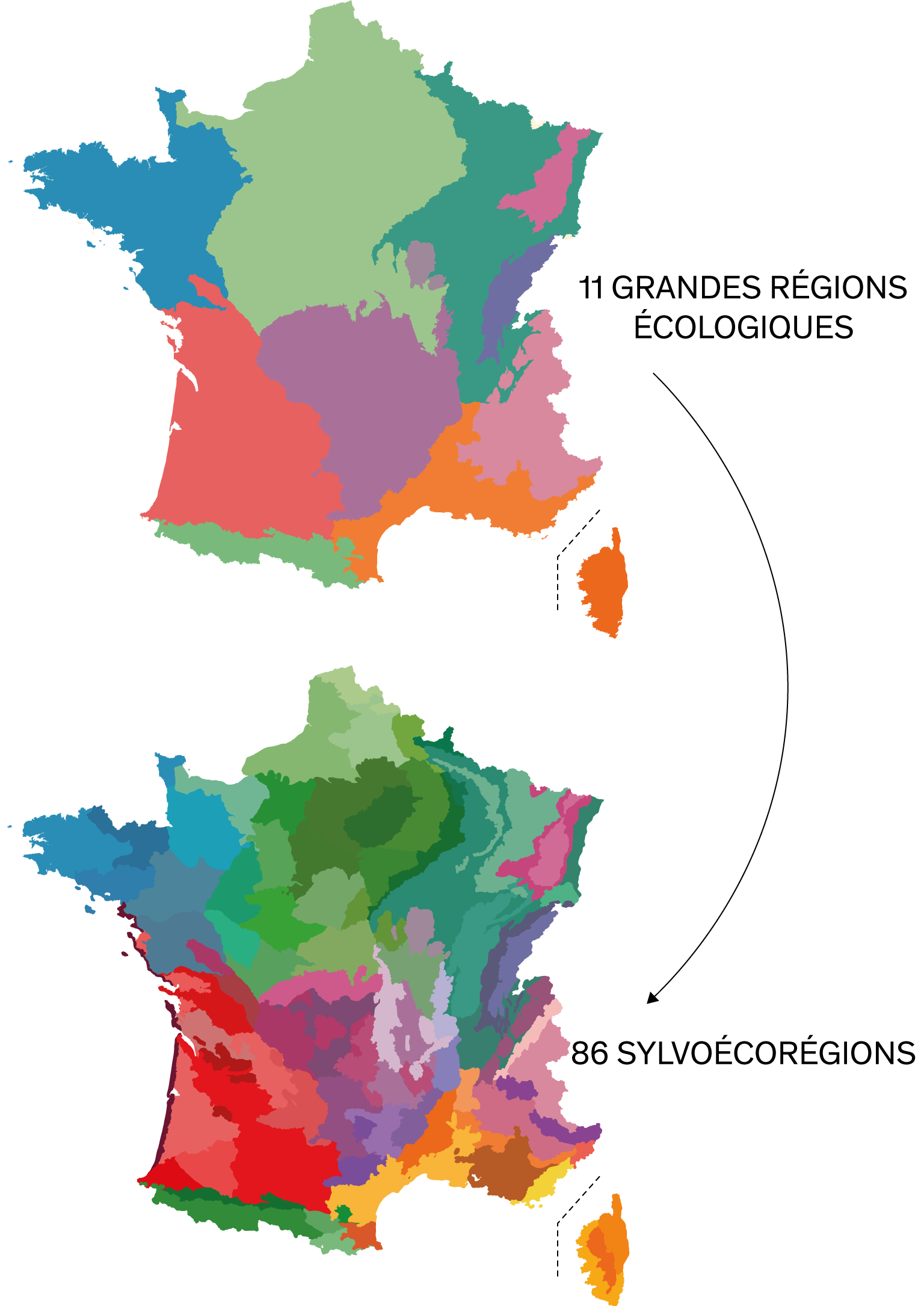 Région Écologique 2
